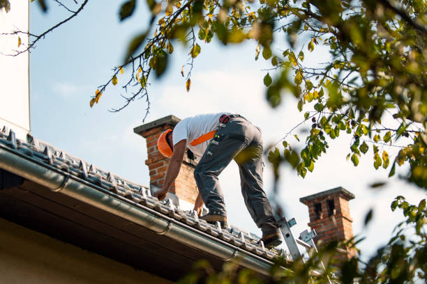 Best Roof Waterproofing Services  in Powell, WY