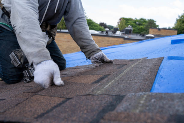 Best Sealant for Roof  in Powell, WY