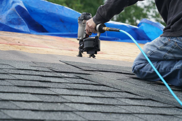 Best Roof Maintenance Services  in Powell, WY