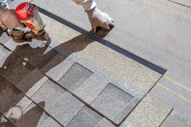 Best Metal Roofing Contractor  in Powell, WY